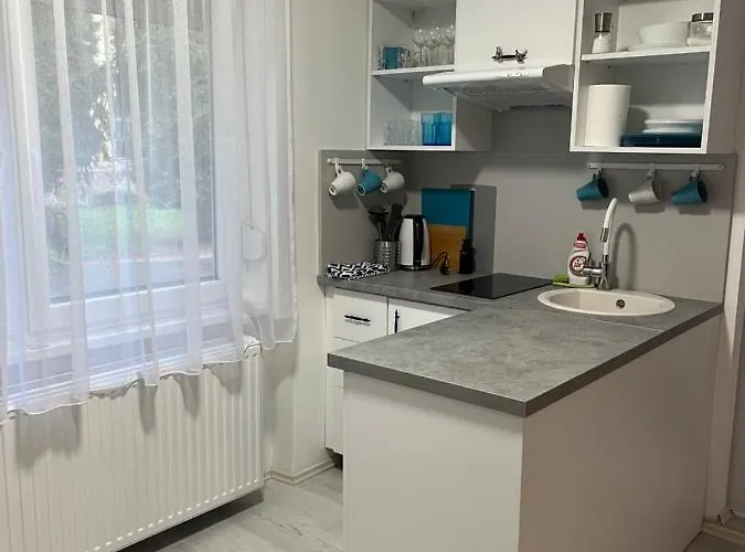 Center 2. * Nagykanizsa